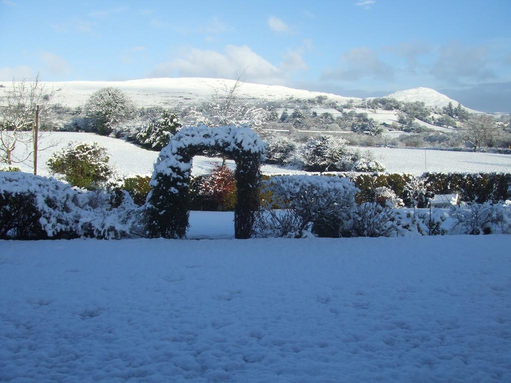 River Meadows B&B Kenmare Exterior foto