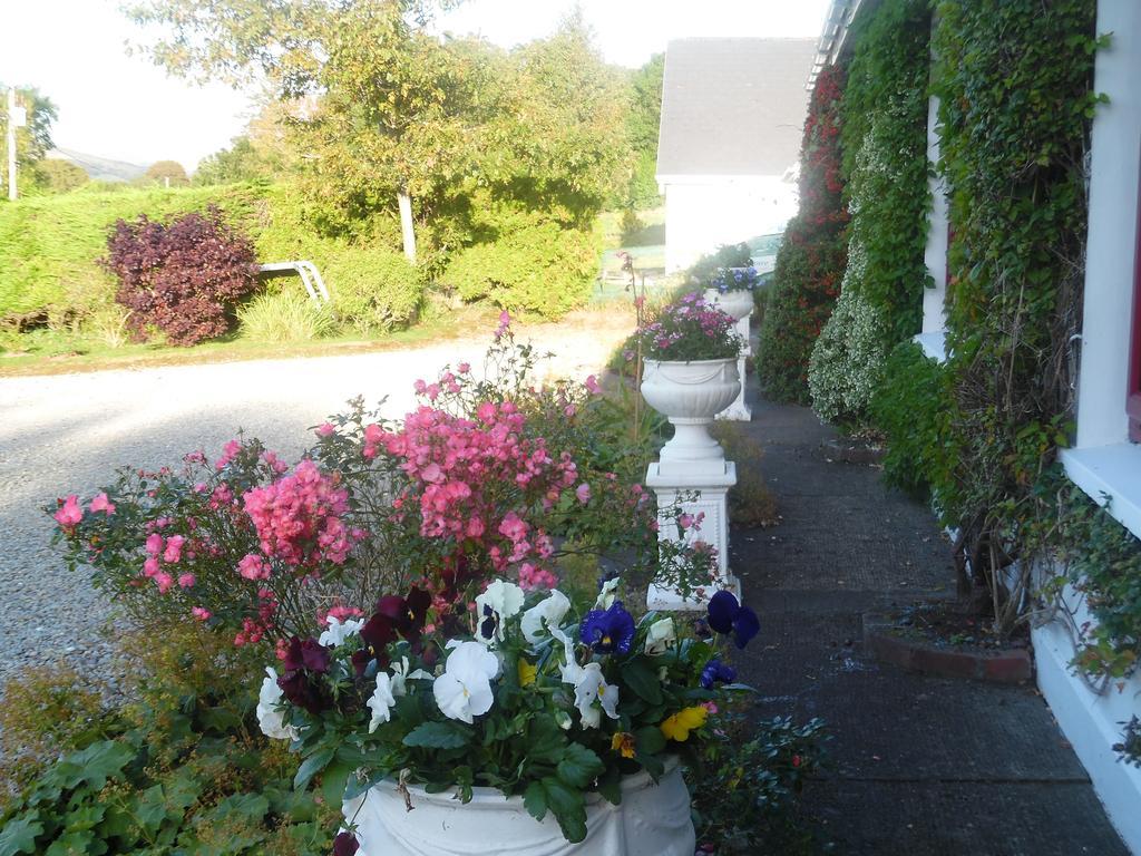 River Meadows B&B Kenmare Exterior foto